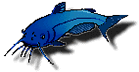 catfish